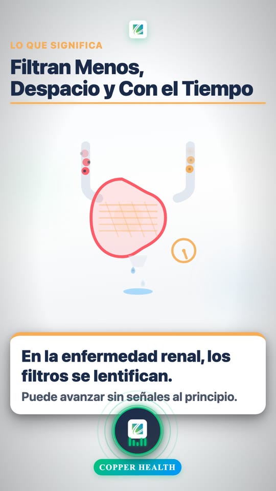 Protecting Your Kidneys (Spanish)