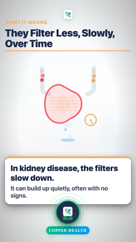 Protecting Your Kidneys