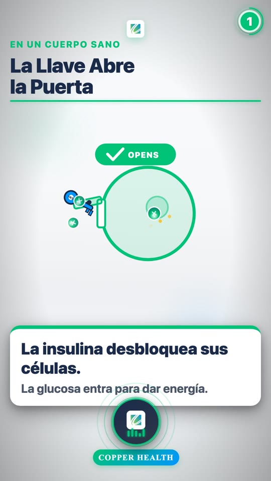 Understanding Type 2 Diabetes (Spanish)