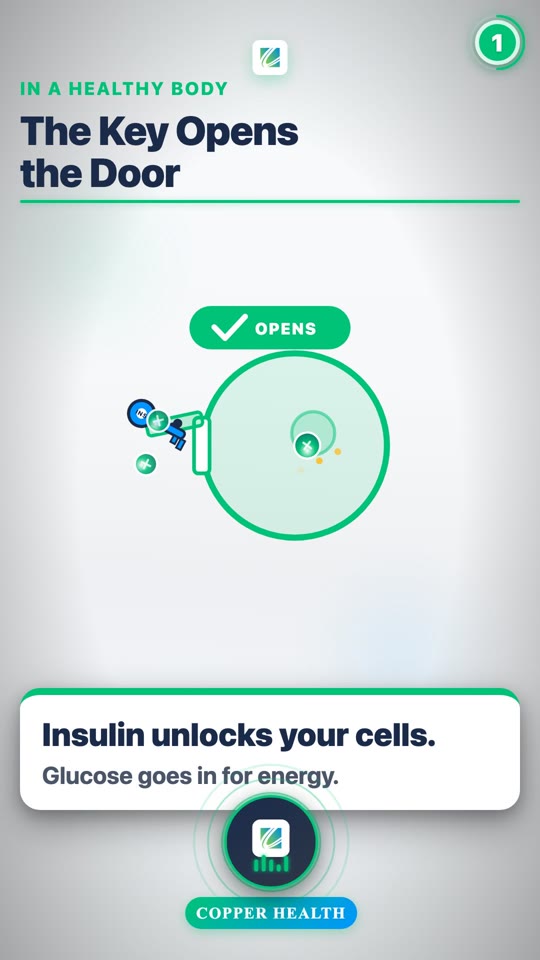 Understanding Type 2 Diabetes