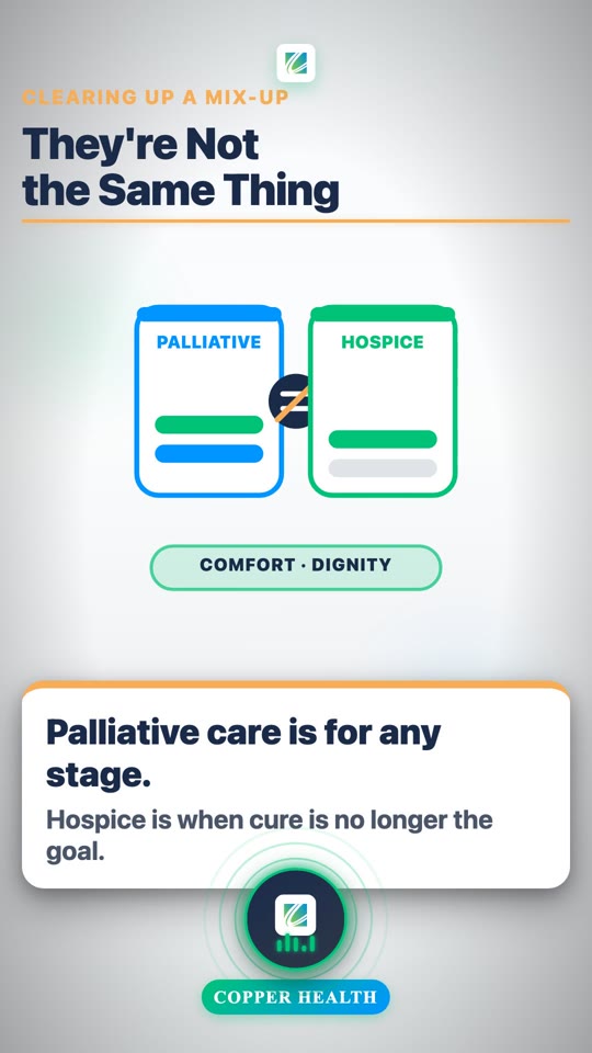 Palliative Care & Hospice, Explained