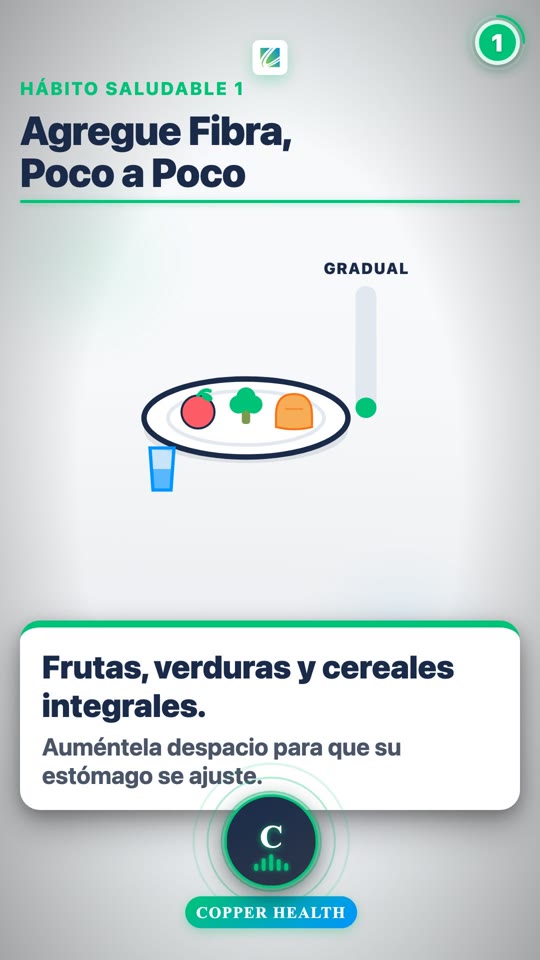 Constipation as We Age (Spanish)